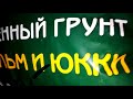 Юкка 2. Пятнышки на листьях Пересадка – корни Можно ли усекать макушку