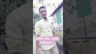 #গাছ লাগান, পরিবেশ বাঁচান!#shortvideo #viralvideo #foryou #youtubeshorts #Imran Hossein #tree