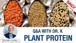 Plant-Based Protein - Is It As Complete As Animal Protein?