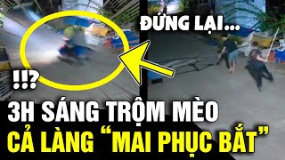 3h sáng đi ĂN TRỘM MÈO, 2 thanh niên bị cả làng MẬT PHỤC GIĂNG LƯỚI như trong phim |Tin Nhanh 3 Phút