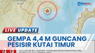 Gempa 4,4 Magnitudo Guncang Pesisir Kutai Timur, Berpusat di Timur Laut Bontang Kalimantan Timur