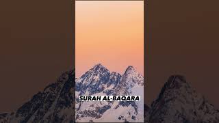 SURAH AL-BAQARA |Ayaat 96+97| Recitation by Mishary Rashid Alafasy | Islam The Heavenly Path