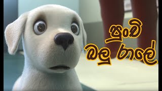 Sinhala Kids Song - Punchi Balu Rale 🐶 (පුංචි බලු රාලේ)