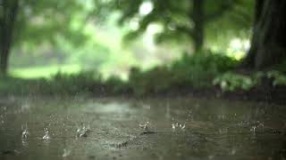 Calming Rain Sounds for Sleep | Study Music | Stress Relief | WFH Music