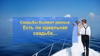 Какая свадьба идеальная...