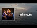 Everything Everything - In Birdsong (Lyrics) 🎵