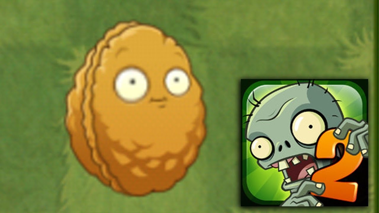 Plants Vs Zombies 2 Wall Nut