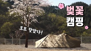 올해 벚꽃 캠핑 대 성공🌸 | 해발 700m 마운틴 뷰 캠핑장 | 제인아츠 기기2 | camping vlog | 가족 캠핑