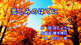 悲しみのはてに　唄/小辻　貢  作詞/西しょうご  作編曲/橋本博行