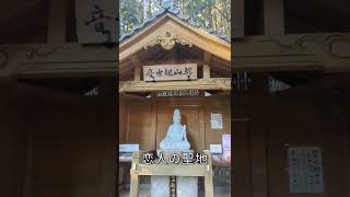 つつじ寺 大興善寺の紅葉/もみじ狩り/佐賀/観光/紅葉穴場/九州の紅葉/紅葉のおすすめスポット