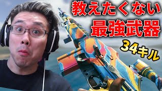 ほんとは教えたくない！『無ブレ高火力』の最強武器紹介します！【CoD】