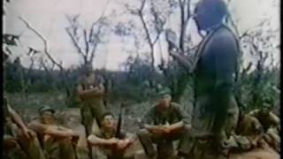Marines in Vietnam 1968 3/5