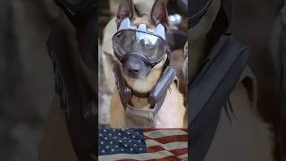 US MILITARY #k9  #doglover #military @duyfamily-lifeinamerica