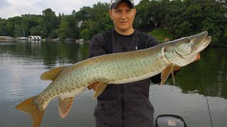 Favorite Musky Topwater Lures - Whopper Plopper | Canon Ball Jr. | Low Rider