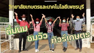 ดื่มนม ชมวัว ทัวร์เกษตร วิทยาลัยเกษตรและเทคโนโลยีเพชรบุรี