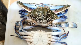 সমুদ্রের কাঁকড়া কাটার কৌশল _ how to cutting crabs