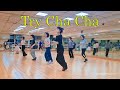 Try Cha Cha linedance / Cho: Suki Choi  & Sally Hung