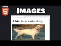 Learn HTML images in 6 minutes! 🖼️