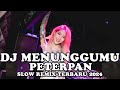 DJ Menunggumu - Peterpan Remix Terbaru 2024