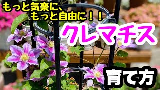 ◆もう迷わない！【クレマチス】の育て方☘️もっと気楽に育ててみよう🌸