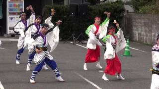 2016　備後新選組　川棚温泉　舞龍祭　青龍会場