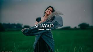 Shayad - Love Aaj Kal | Kartik | Sara | Arushi | Pritam | Arijit Singh #shayad
