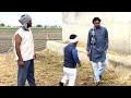 ਲੈਬਰਾ ਨਸਲ ਦੀ ਮੱਝ 🤣 punjabi comedy video kaku mahniya