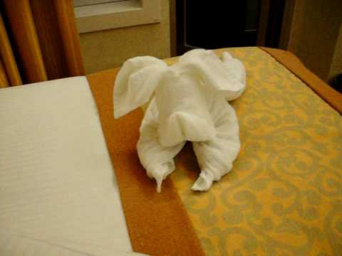 Carnival splendor room steward making a towel dog Carnival splendor room steward making a towel dog