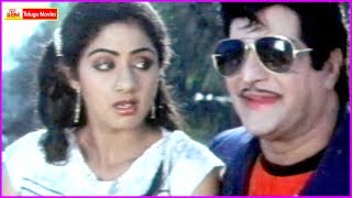 NTR And Sridevi Super Hit Video Song | Justice Chowdary Movie | Muddu Meeda Muddu Pettu