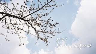 [VLOG] 2017.3.29-4.02春遊首爾: 整趟都在吃｜CindyH