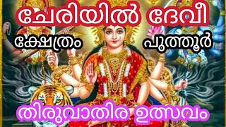 Cheriyil Devi Temple puthoor/ചേരിയിൽ ദേവീ ക്ഷേത്രം പുത്തൂർ #festival #kerala