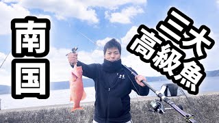 赤い魚と止まらない興奮！南の三大高級魚