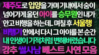 【실화사연】 제주도 입양가며 기내에서 숨넘어가게 울던 아이를 승무원인 내가 돌보는데 며칠 후 서울행 비행기에서 다시 그 아이를 보고 내 인생 기적이 되었습니다 신청사연 감동사