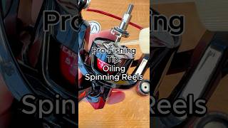 How to Oil a Spinning Reel #fishing #bassfishing #fishingtips