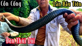 Lần Đầu Tiên Bắt Được Con Hổ Đất Đen Thui Tại Khu Vực Cồn Cống | Mười Thương SB