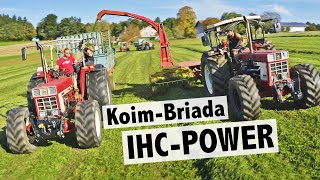 Oldtimer Gras häckseln mit IHC Traktoren | Koim Briada IHC Power | IHC 1046 und IHC 1246 Sound