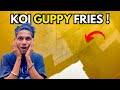 Finally koi guppy ne fries diye 😃| Guppy breeding succesful |