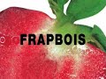 ＦＲＡＰＢＯＩＳ × 中田ヤスタカ（capsule）