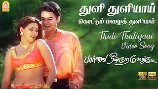 Thuli Thuliyaai Kottum Mazhai |  HD Video Song | Paarvai Ondre Pothume | Kunal | Monal | Bharani