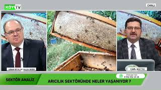 Sektör Analiz Arıcılık | Alaaddin KURTOCAĞI (13.12.2024 20:45)