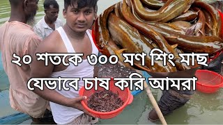 অধিক ঘনত্বে শিং মাছ চাষে কি কি ঔষধ ব্যবহার করবেন,শিং মাছ চাষ পদ্ধতি,imo,01719812473