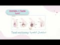 3. genitourinary system terminology by shams bahr