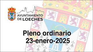 Pleno Ordinario del 23 de enero de 2025