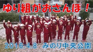 はちまん保育園（福井市）みのり中央公園へゆり組（4歳児年中）がお散歩！桜の花びらに大喜び！