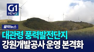 [G1짤막뉴스] 강원개발공사, 대관령 풍력발전단지 운영 본격화