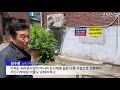 능곡 2 5구역 평당 가격 5000만원까지 올랐다 〔고양신문 현장취재 ep.75〕