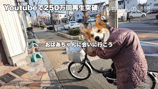 何回こけても自転車に乗り続ける250万回再生されたおばあちゃんの動画