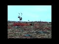 randy wakeman outdoors muzzleloading for manitoba caribou