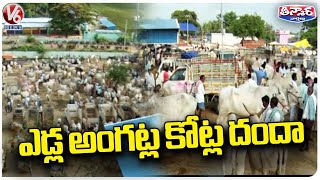 Pandithapuram Santha(Market) In Khammam Makes Crores Of Business | V6 Weekend Teenmaar