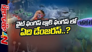 దేశంలో వైరస్ ని మించిన ఫంగస్ వచ్చిందా? వైట్ ఫంగస్.. బ్లాక్ ఫంగస్ లో ఏది డేంజరస్? | Story Board  Ntv